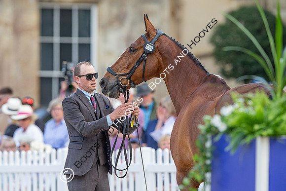 Badminton Horse Trials