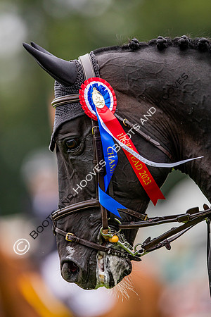 The Longines Royal International Horse Show