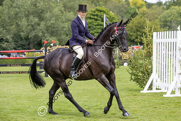 The Agria Royal International Horse Show