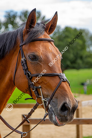 Science Supplements All England Jumping Championships