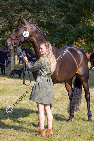 Blenheim Palace International Horse Trials