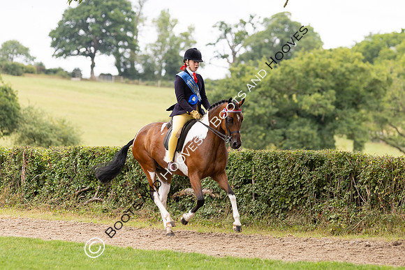 The Royal International Horse Show