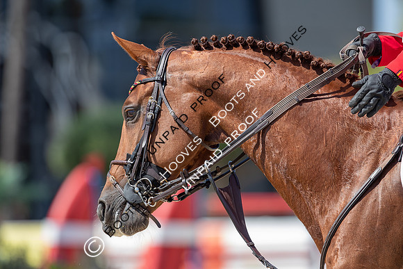 FEI Junior European Championship Young Riders, Juniors & Childre