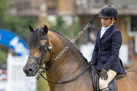The Agria Royal International Horse Show