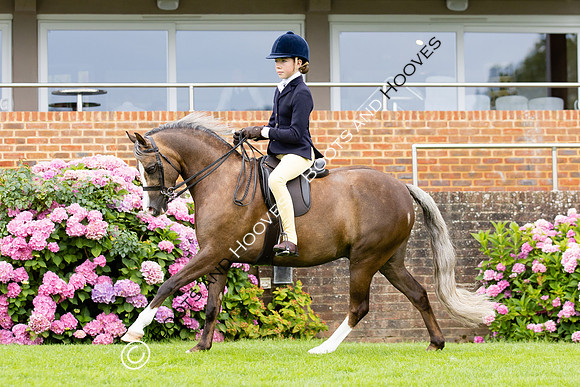 The Agria Royal International Horse Show