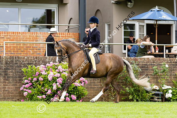 The Agria Royal International Horse Show