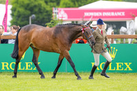 Royal Windsor Horse Show