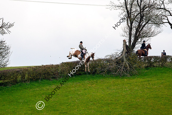 The Ledbury Hunt