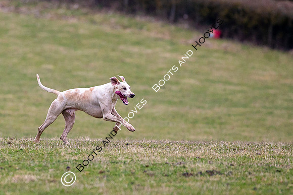 The Ledbury Hunt