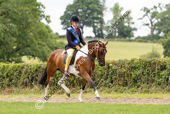 The Royal International Horse Show