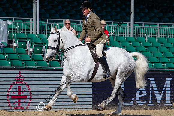 Royal Windsor Horse Show