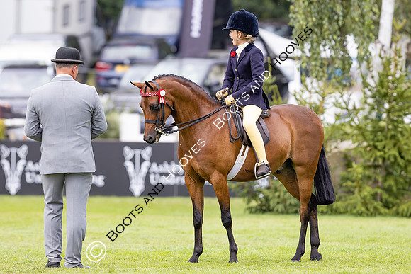 The Agria Royal International Horse Show