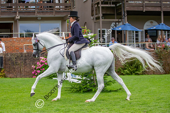 The AGRIA Royal International Horse Show