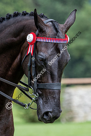The Prenetics Royal International Horse Show