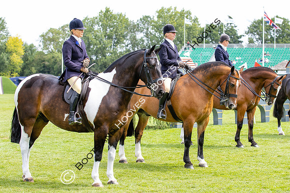 The Agria Royal International Horse Show