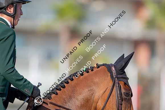 FEI Junior European Championship Young Riders, Juniors & Childre