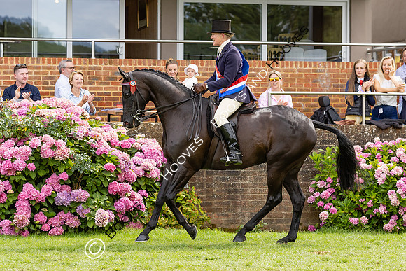 The Agria Royal International Horse Show