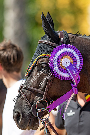 FEI Junior European Championship Young Riders, Juniors & Childre