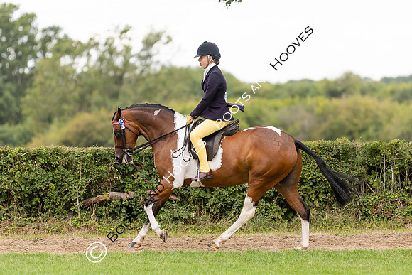 The Royal International Horse Show