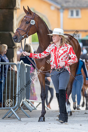 Badminton Horse Trials