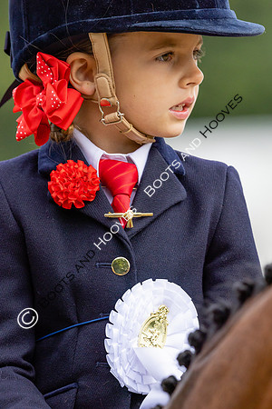 The Agria Royal International Horse Show
