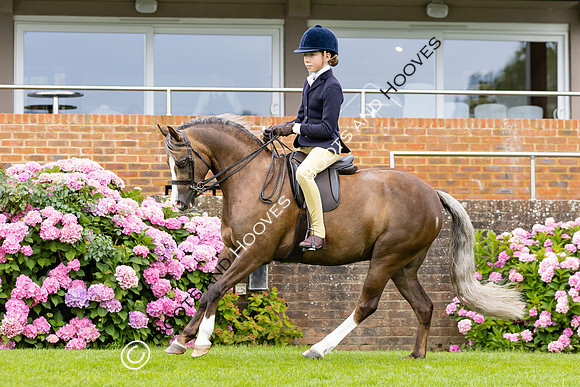 The Agria Royal International Horse Show