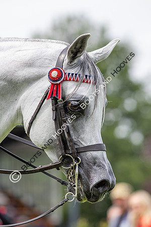 The Agria Royal International Horse Show
